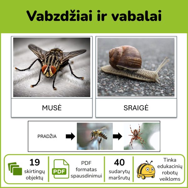 P102-vabalai-pdf Vabzdžiai ir vabalai | Kortelės edukaciniams robotukams