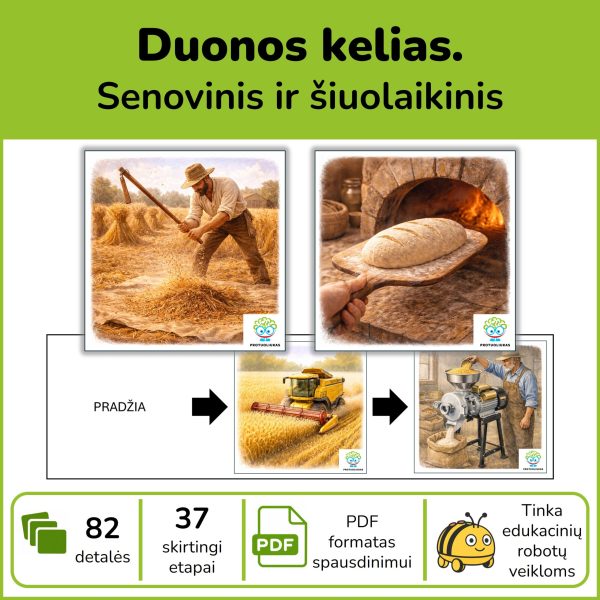 Duonos kelias | Kortelės edukaciniams robotukams
