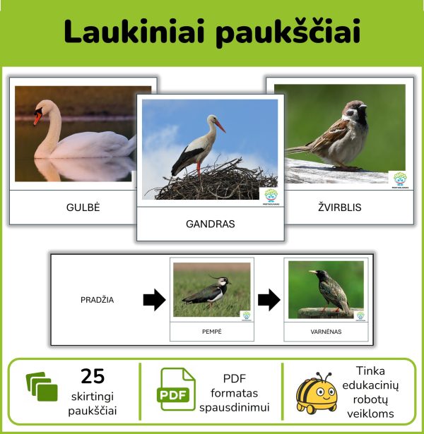 P150-laukiniai-pauksciai-pdf Laukiniai paukščiai | Kortelės edukaciniams robotukams