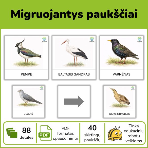 P154-migruojantys-pauksciai-pdf Migruojantys Lietuvos paukščiai – mokomoji priemonė Bee-Bot robotukui