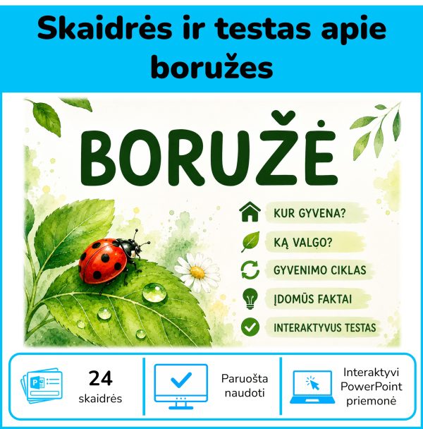 Boružė – 24 pažintinės PowerPoint skaidrės apie boružės gyvenimą ir interaktyvus testas vaikams