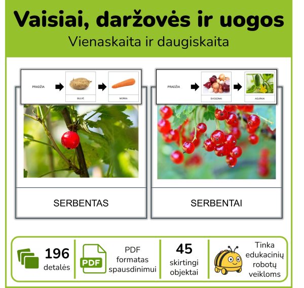Vaisiai, daržovės ir uogos – kortelės edukaciniams robotukams, vienaskaitos ir daugiskaitos PDF rinkiniai