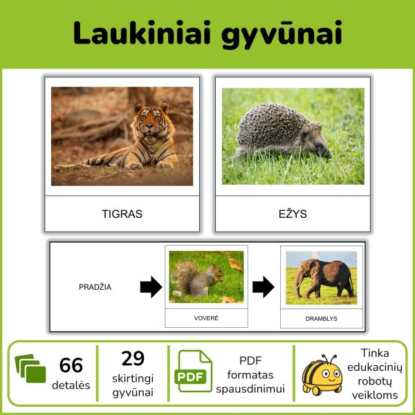 P121-laukiniai-gyvunai-pdf Laukiniai gyvūnai - kortelės edukaciniams robotukams