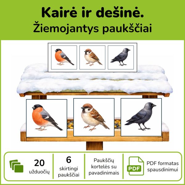 P132-pauksciai-kaire-desine-pdf Lietuvoje žiemojantys paukščiai lesyklėlėje – mokomoji priemonė vaikams