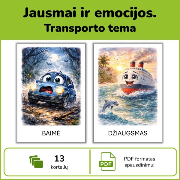 Jausmai ir emocijos | Transporto kortelės