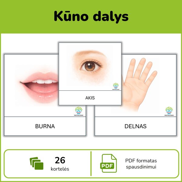 Kūno dalys – pažintinės kortelės su paveikslėliais ir pavadinimais