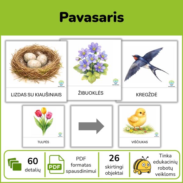 Pavasaris- kortelės edukaciniams robotukams
