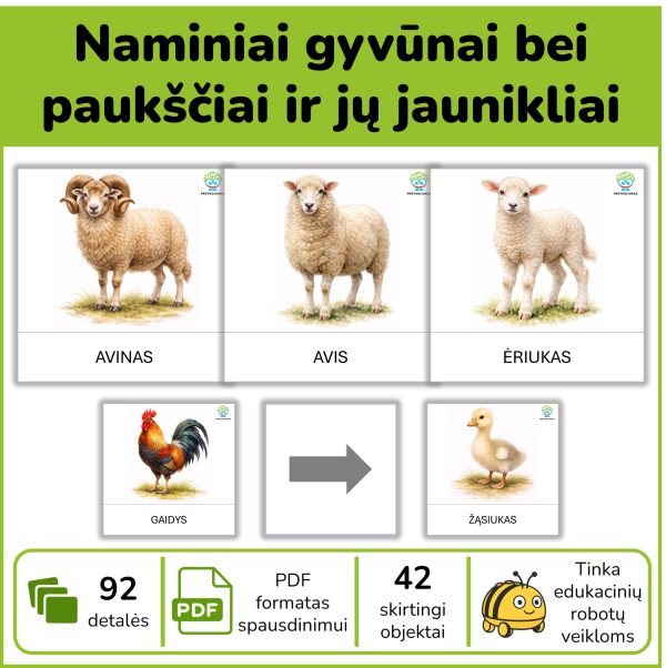 P153-naminiai-gyvunai-ir-ju-jaunikliai Naminiai gyvūnai ir jų jaunikliai – kortelės edukaciniams robotukams
