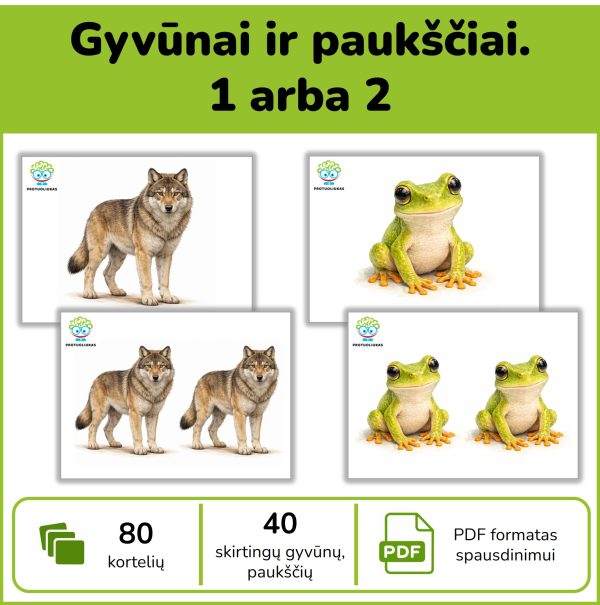 Gyvūnai ir paukščiai – vienaskaitos ir daugiskaitos kortelės