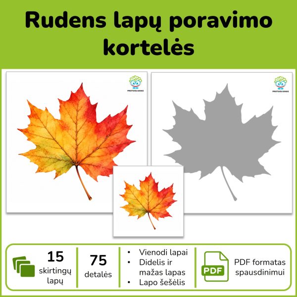 Rudens lapų poravimo kortelės | Spalva, dydis ir šešėliai