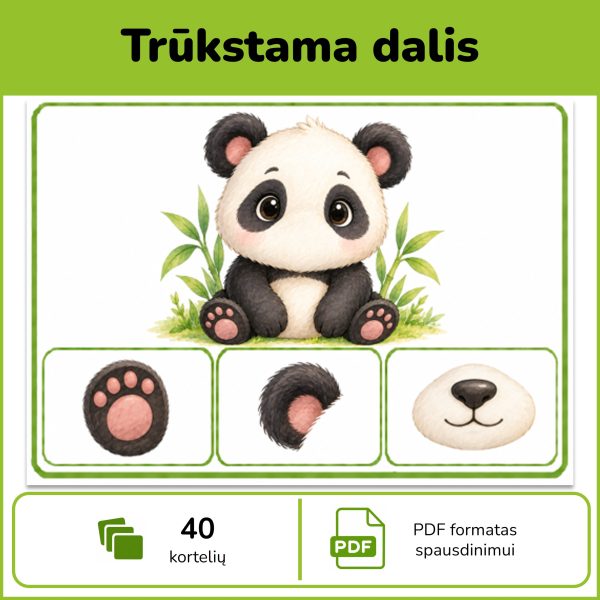 Ko trūksta – 40 trūkstamos dalies atpažinimo kortelių vaikams su trimis atsakymų variantais