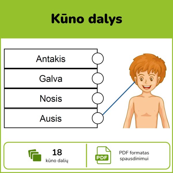 Kūno dalys | Pažintinė užduotis vaikams