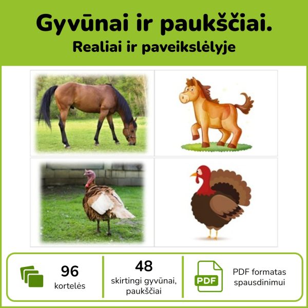 P99-gyvunai-pauksciai-realiai-pav-pdf Gyvūnai ir paukščiai – 96 nuotraukų ir iliustracijų poravimo kortelės vaikams